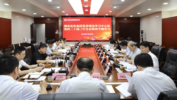 W020240730378012519649_ORIGIN.jpg K8凯发(中国)天生赢家一触即发