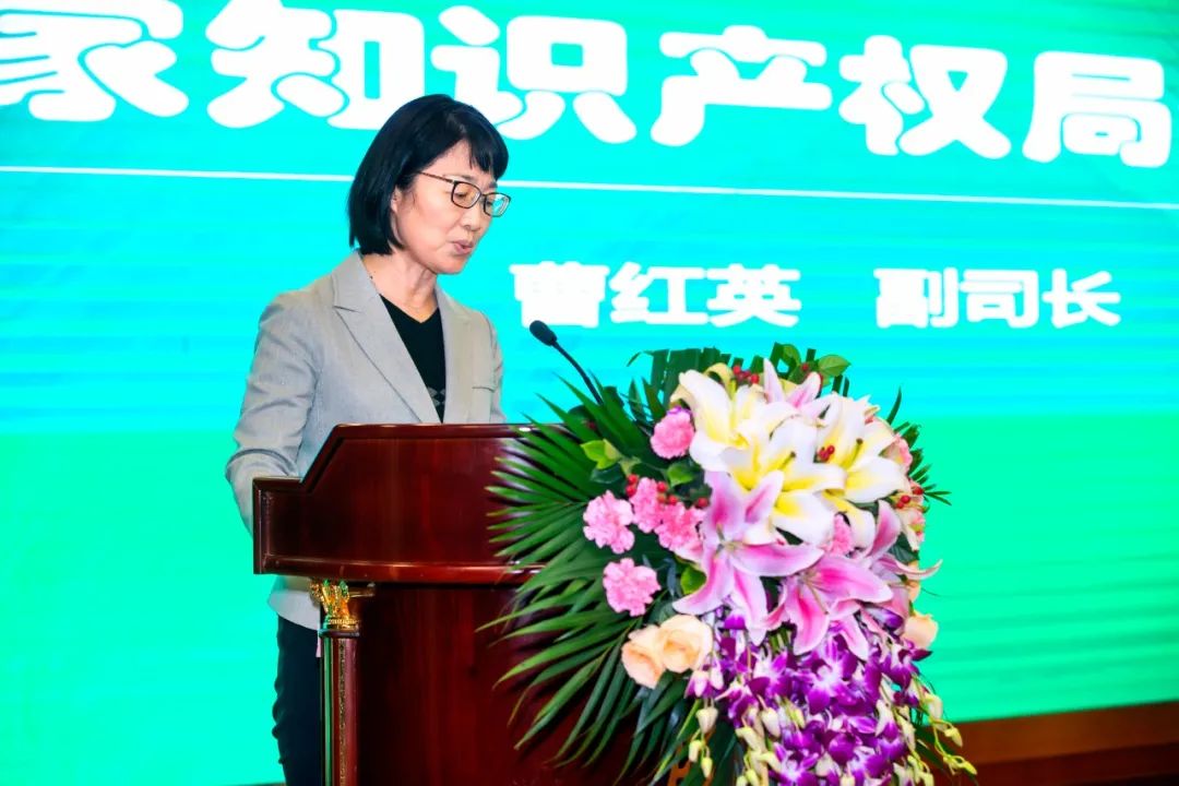 1606449027767417.jpg K8凯发(中国)天生赢家一触即发